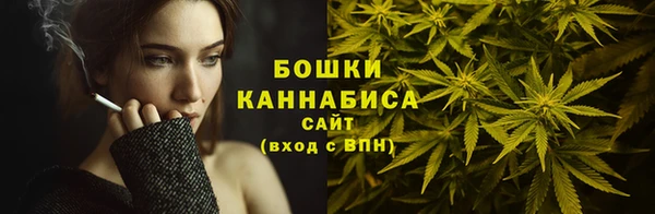 мдпв Горняк