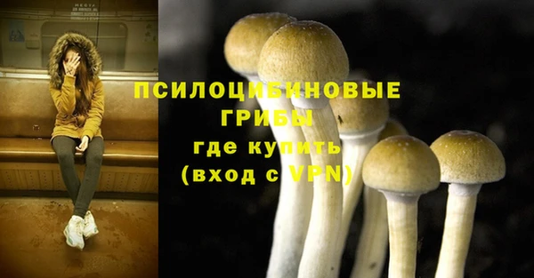 спиды Горно-Алтайск