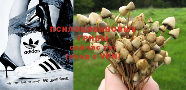 дурь Гусь-Хрустальный
