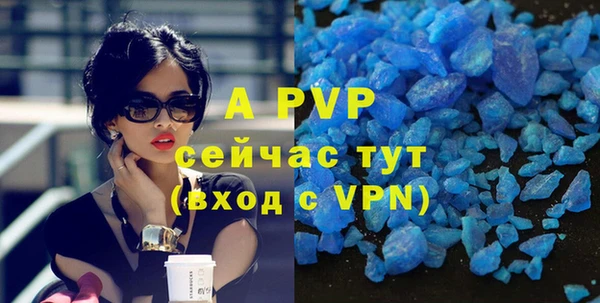 прущие крисы Гусев