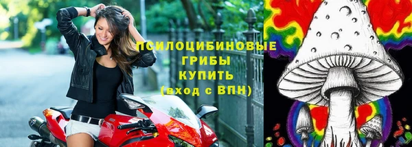 спиды Горно-Алтайск