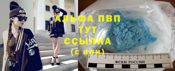 прущие крисы Гусев